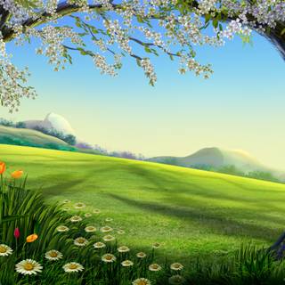 Summer tree anime wallpaper