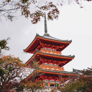 Japan culture wallpaper