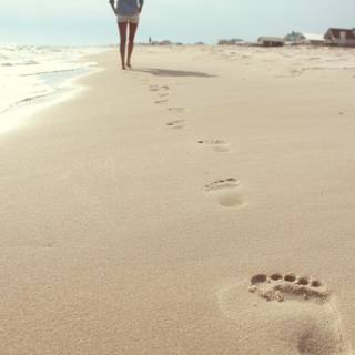 Footsteps wallpaper