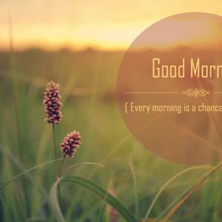 Summer good morning wallpaper