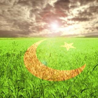 Wallpaper HD 14 August