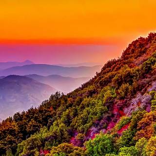 Redmi Note 7 4k wallpaper