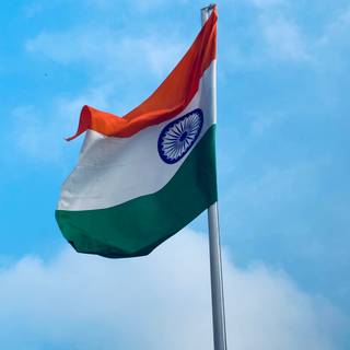 Indian Tiranga wallpaper