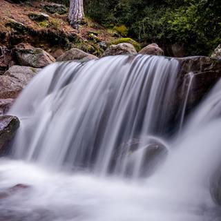 Sources of water wallpaper