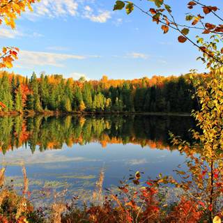 Autumn september wallpaper