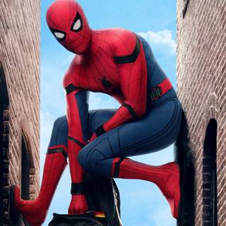 Spiderman landscape wallpaper