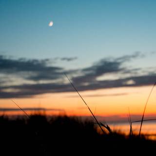 Summer sky wallpaper