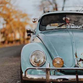 Autumn Volkswagen Bug wallpaper