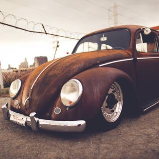 Autumn Volkswagen Bug wallpaper
