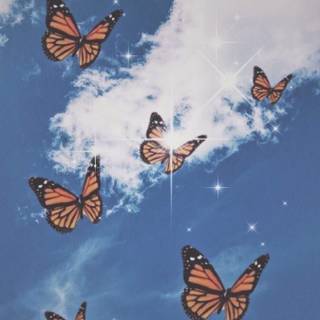 The butterfly wallpaper