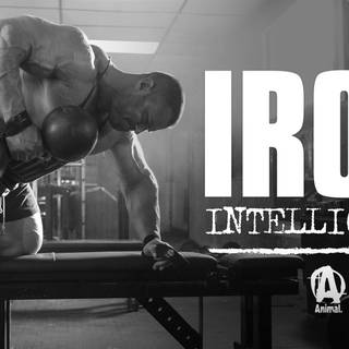 Evan Centopani wallpaper