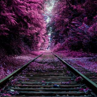 Railway forest mobile wallpaper
