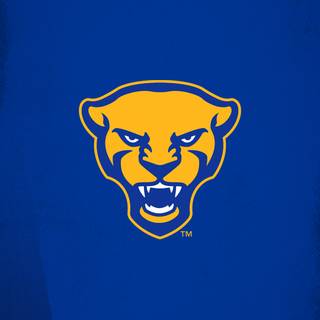 Pittsburgh Panthers wallpaper