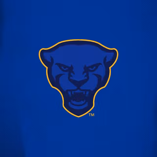 Pittsburgh Panthers wallpaper