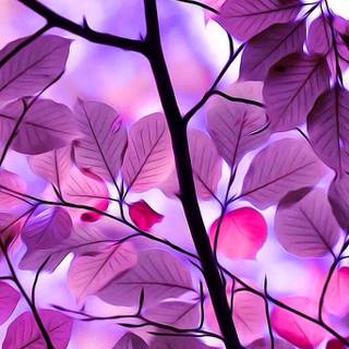 Purple leaves wallpaper