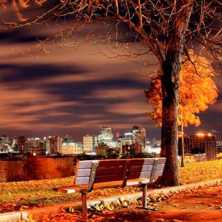 Phone autumn night wallpaper