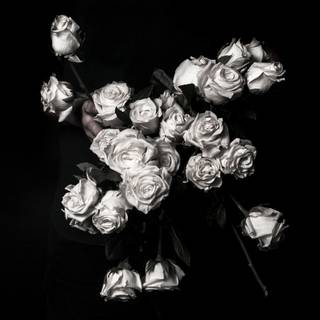 José Madero wallpaper