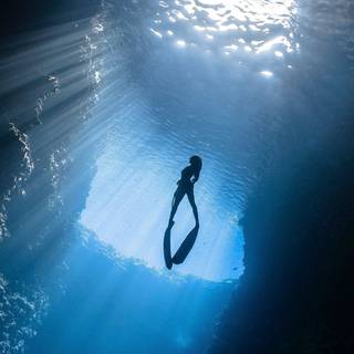 Scuba diver wallpaper