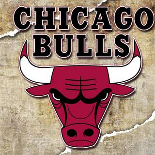 Desktop Chicago Bulls logo wallpaper