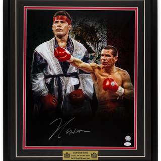 Julio César Chávez wallpaper