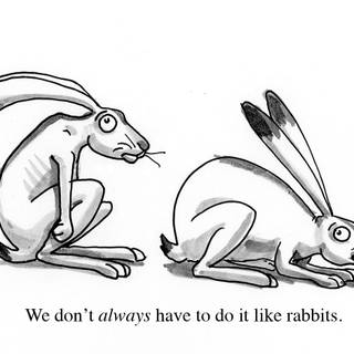 Cartoon rabbit wallpaper