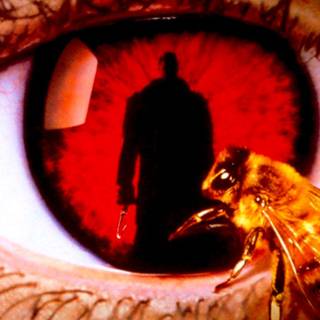 Candyman movie wallpaper