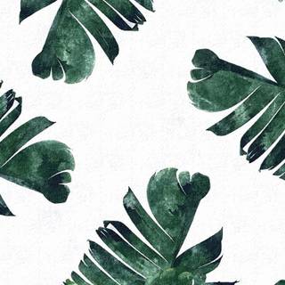 Plant aesthetic iPad wallpaper