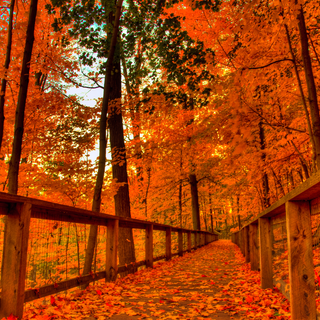Autumn Tumblr laptop wallpaper
