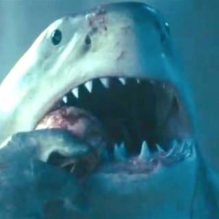 King Shark HD wallpaper