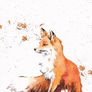 Fox drawing wallpaper