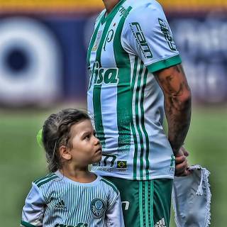 Dudu Palmeiras wallpaper