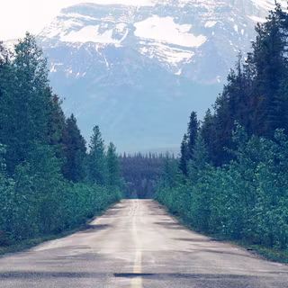 Road trees and mountains wallpaper