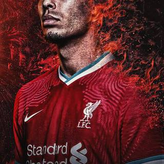 Virgil van Dĳk wallpaper