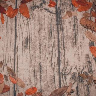 Autumn nostalgia wallpaper
