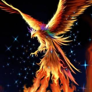 Fire Phoenix wallpaper