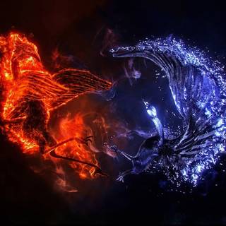 Fire Phoenix wallpaper