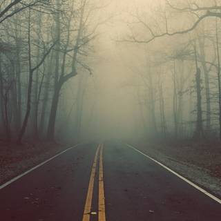 Autumn foggy wallpaper