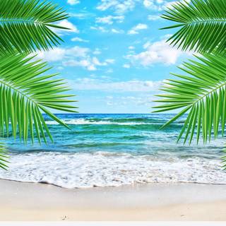 High quality summer wallpaper