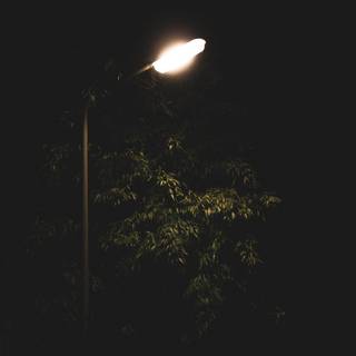 Streetlight wallpaper