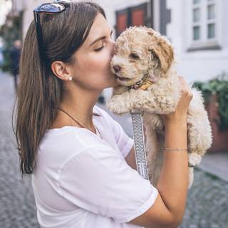 Dog and girl wallpaper