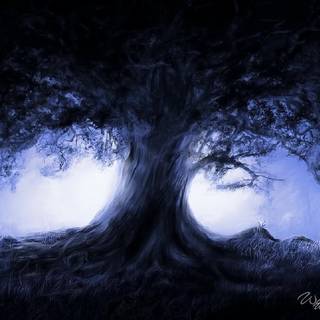 Alone tree wallpaper
