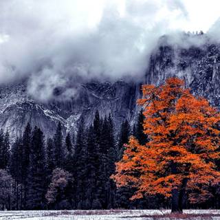 Autumn and winter wallpaper