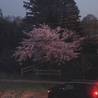 Grunge core wallpaper