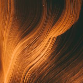 Colour brown wallpaper