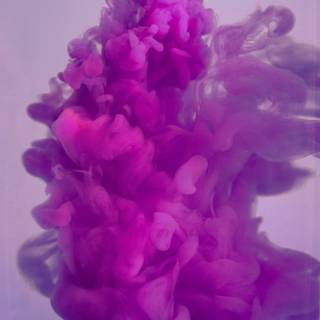 Purple man wallpaper