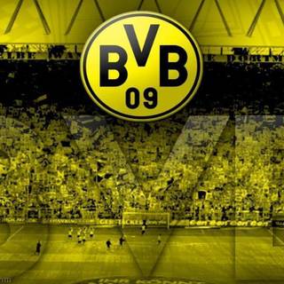 BVB Dortmund wallpaper