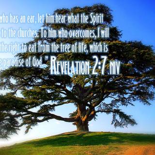 Bible Revelation wallpaper