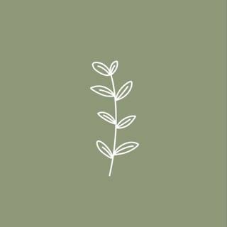 Olive green aesthetic wallpaper