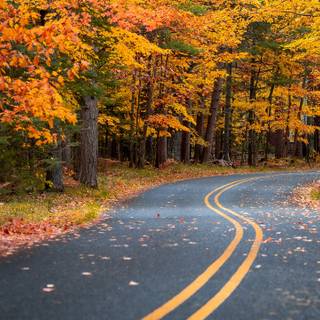 1280x720 autumn wallpaper