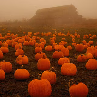 Fall Halloween computer wallpaper